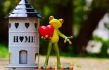 Enhancing Your Home: The Unique Charm of Our Home Decor Products