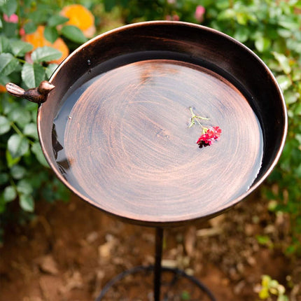 Outdoor Garden Bird Feeder Hanging Water Dispenser for Patio Balcony Wild Birds