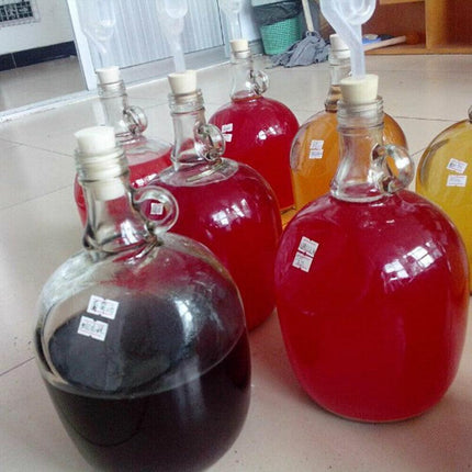 2Pcs Fermenter Airlock S Bubble Type Air Lock With Grommet Home Brew Beer Wine - Aimall