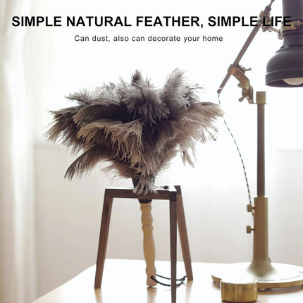 Anti Static Ostrich Feather Duster Wooden Handle Brush Duster Dust Cleaning