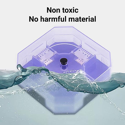 Cockroach Lizard Insect Reusable ON Non Poison Large Trap Catcher Box