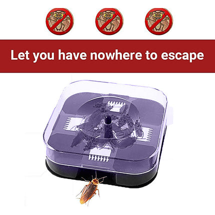 Cockroach Lizard Insect Reusable ON Non Poison Large Trap Catcher Box
