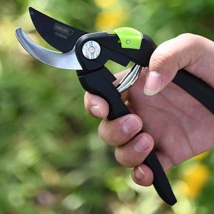 5pcs Branches Coil Springs for Garden Pruning Fruit Trees Home Garden Plant Care