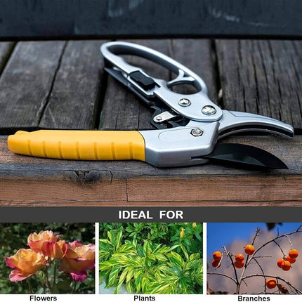 Pruning Shears Garden Fruit Branch Shears for Pruning Branches Sharp Fruit Trees