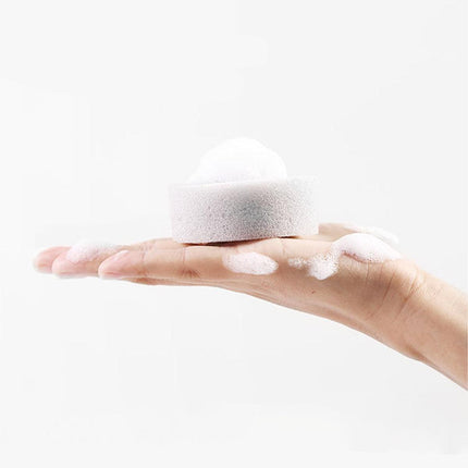 PETKIT Dual-Use Brush and Sponge for Pet Bowls and Water Dispensers