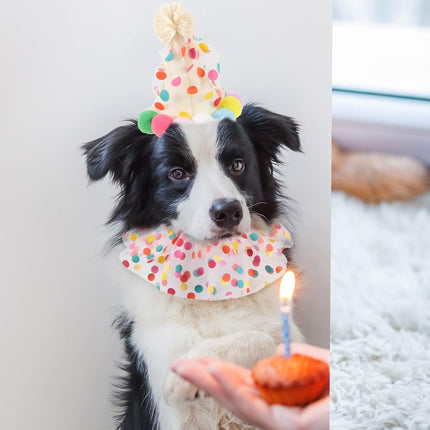 Dog Cat Birthday Dress Bib Felt Hat Party Supplies Drool Towel for Pet Parties