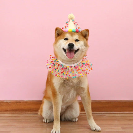Dog Cat Birthday Dress Bib Felt Hat Party Supplies Drool Towel for Pet Parties