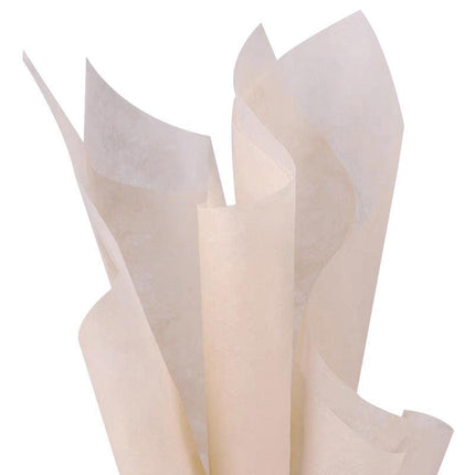 5Packs 6 Colours Tissue Gift Wrapping Paper 30cm x 30cm Packaging Eco Friendly - Aimall