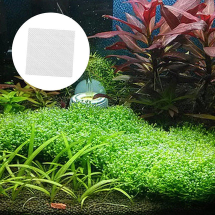10pcs Stainless Steel Wire Mesh for Water Plants Fish Tank Aquarium Decoration