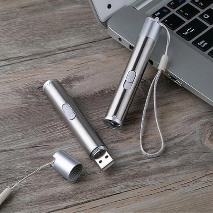 3 in 1 Multi Function Premium Cat Toy Laser Pointer USB Charging LED Torch Light - Aimall