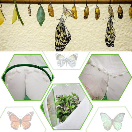 Collapsible Insect Cage Garden Insect Screen Plant Cultivation Cage for Outdoor