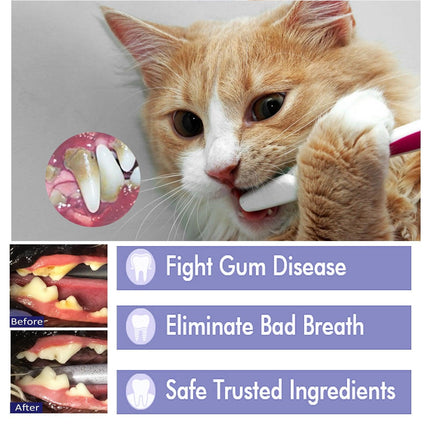 Pet Oral Care Cats Dogs Clean Bad Breath Tartar Stains Teeth Whitening Kit