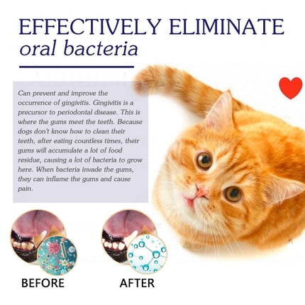 Pet Oral Care Cats Dogs Clean Bad Breath Tartar Stains Teeth Whitening Kit