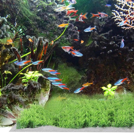 10pcs Stainless Steel Wire Mesh for Water Plants Fish Tank Aquarium Decoration