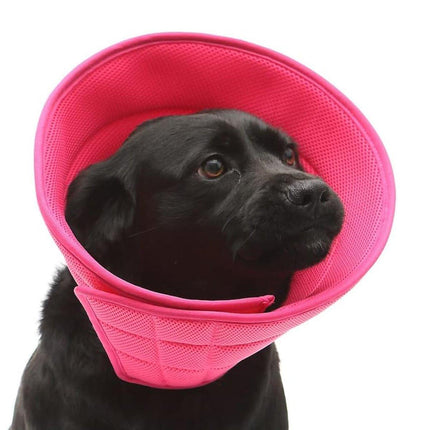 Elizabethan Collar Anti Licking Biting Pet Collar for Cats and Dogs Recovery Use