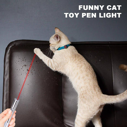 3 in 1 Multi Function Premium Cat Toy Laser Pointer USB Charging LED Torch Light - Aimall