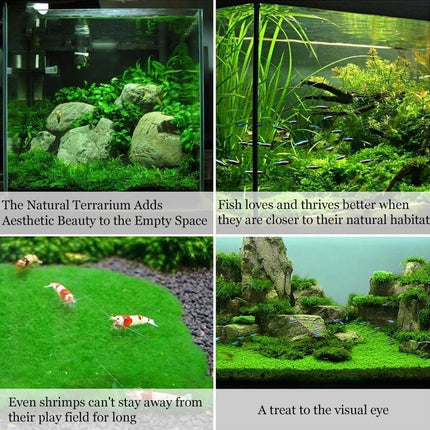 10pcs Stainless Steel Wire Mesh for Water Plants Fish Tank Aquarium Decoration