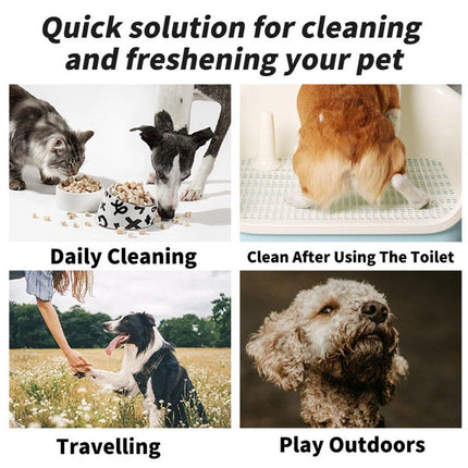 Pet Ear Cleaning Wipes Dogs Cats Gentle Ear Care Wipes Healthy Ears