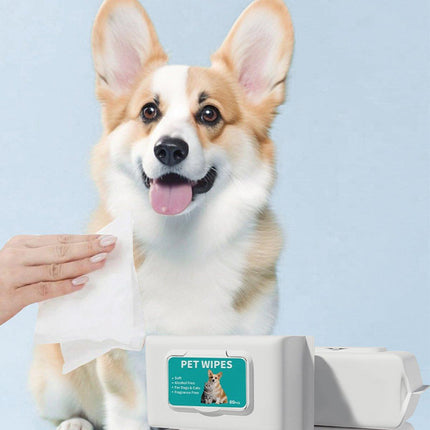 Pet Ear Cleaning Wipes Dogs Cats Gentle Ear Care Wipes Healthy Ears
