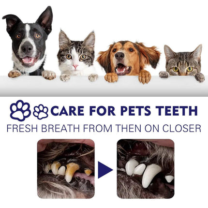 Pet Oral Care Cats Dogs Clean Bad Breath Tartar Stains Teeth Whitening Kit