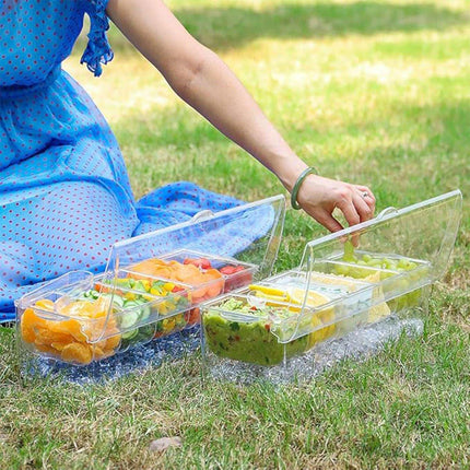 Outdoor Picnic Ice Box Split Salad Plate Fresh-keeping Food Storage Container