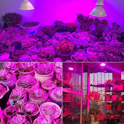 200 LED Grow Light Full Spectrum Hydroponic Garden Plant Desk Flexible Clip Lamp - Aimall