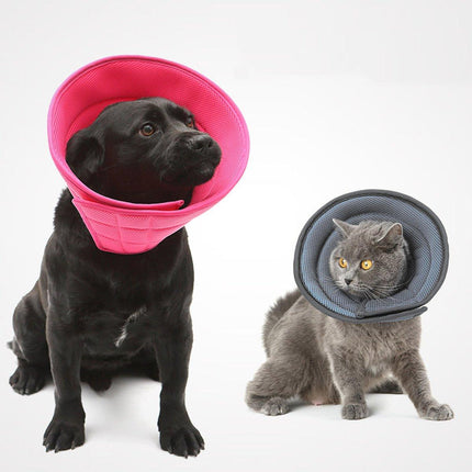 Elizabethan Collar Anti Licking Biting Pet Collar for Cats and Dogs Recovery Use