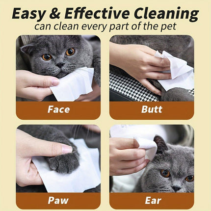 Pet Ear Cleaning Wipes Dogs Cats Gentle Ear Care Wipes Healthy Ears