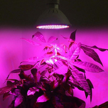 200 LED Grow Light Full Spectrum Hydroponic Garden Plant Desk Flexible Clip Lamp - Aimall