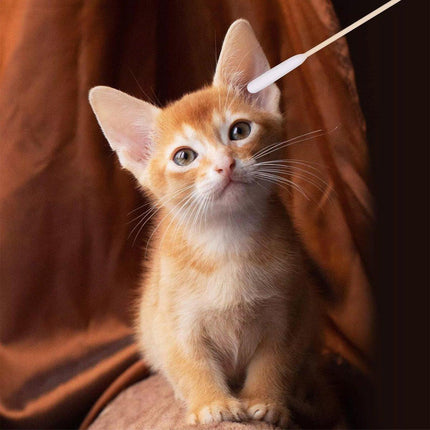 200PCS Pet Ear Eye Nose Cleaning Cotton Swabs Disposable Dog Cat Grooming Tools