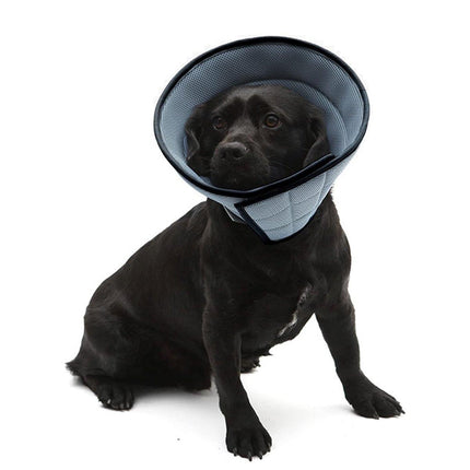 Elizabethan Collar Anti Licking Biting Pet Collar for Cats and Dogs Recovery Use