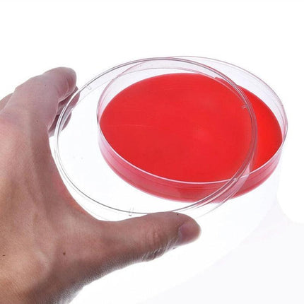Petri Dish set ready for laboratory use.