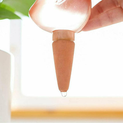 4PCS Plant Self Watering Spikes Pot Drip Irrigation Garden Tool Plant Waterer AU - Aimall
