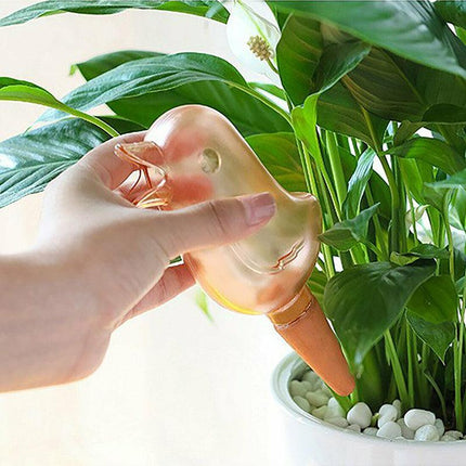 4PCS Plant Self Watering Spikes Pot Drip Irrigation Garden Tool Plant Waterer AU - Aimall