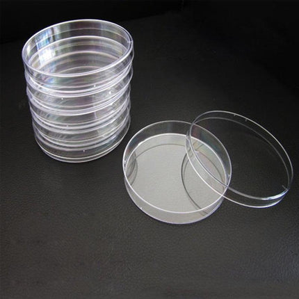 Petri Dish set ready for laboratory use.