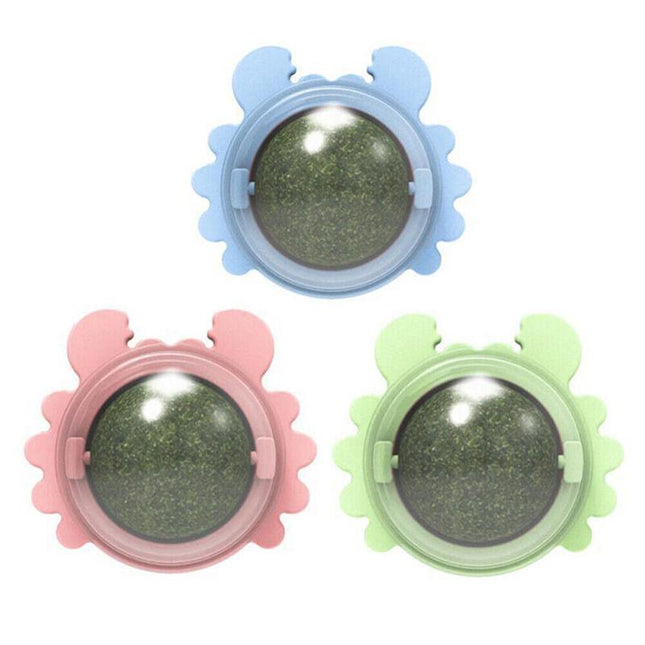 Interactive Catnip Mint Ball Toy for Kittens