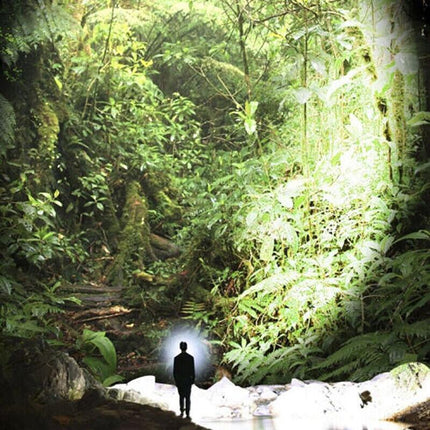 12000000lm LED Headlamp USB Rechargeable Headlight Head Torch Lamp Flashlight - Aimall