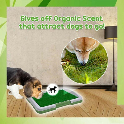 Indoor Dog Pet Potty Training Portable Toilet Loo Pad Tray Grass Mat AU Stock - Aimall