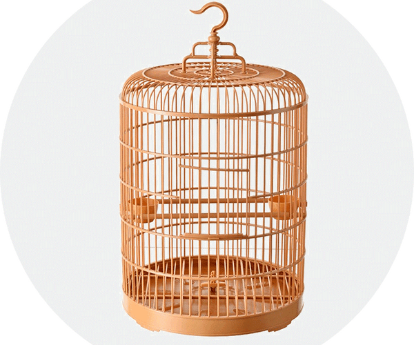 Spacious Bird Cages, Perches and Houses Outdoor Indoor | Aimall eStore