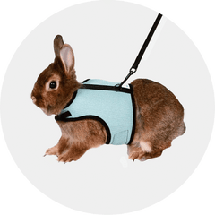 Other Small Animal Supplies-Aimall