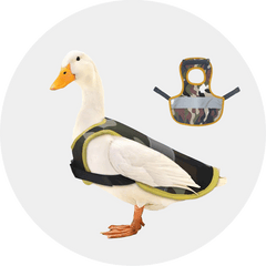 Poultry-Aimall