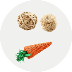 Small Animal Toys-Aimall