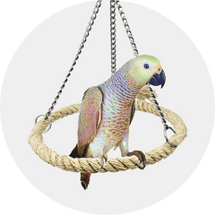 Other Bird Supplies-Aimall