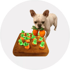 Dog Toys-Aimall