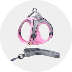 Leashes & Harnesses-Aimall