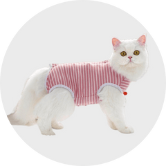 Cat Clothing-Aimall