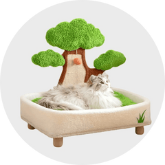 Cat Beds & Blankets-Aimall