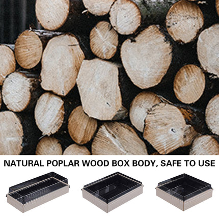 20 PCS Disposable Sushi Bento Lunch Boxes Takeaway Containers Food Grade Storage