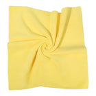 20 PCS Microfiber Car Cleaning Towel Polishing Thick Absorbent Detailing Cloth
