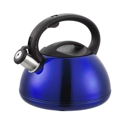Stainless Steel Whistling Kettle Induction Heat Resistant Handle Home Tea Pot